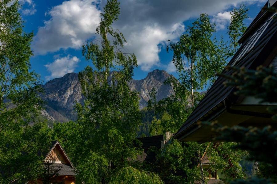 Apartment Bordeaux Szymoszkowa Residence Zakopane กอสเชียลิสกอ ภายนอก รูปภาพ